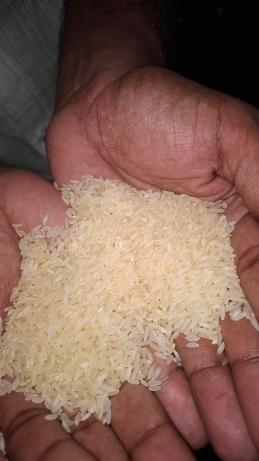 Premium Indian Rice