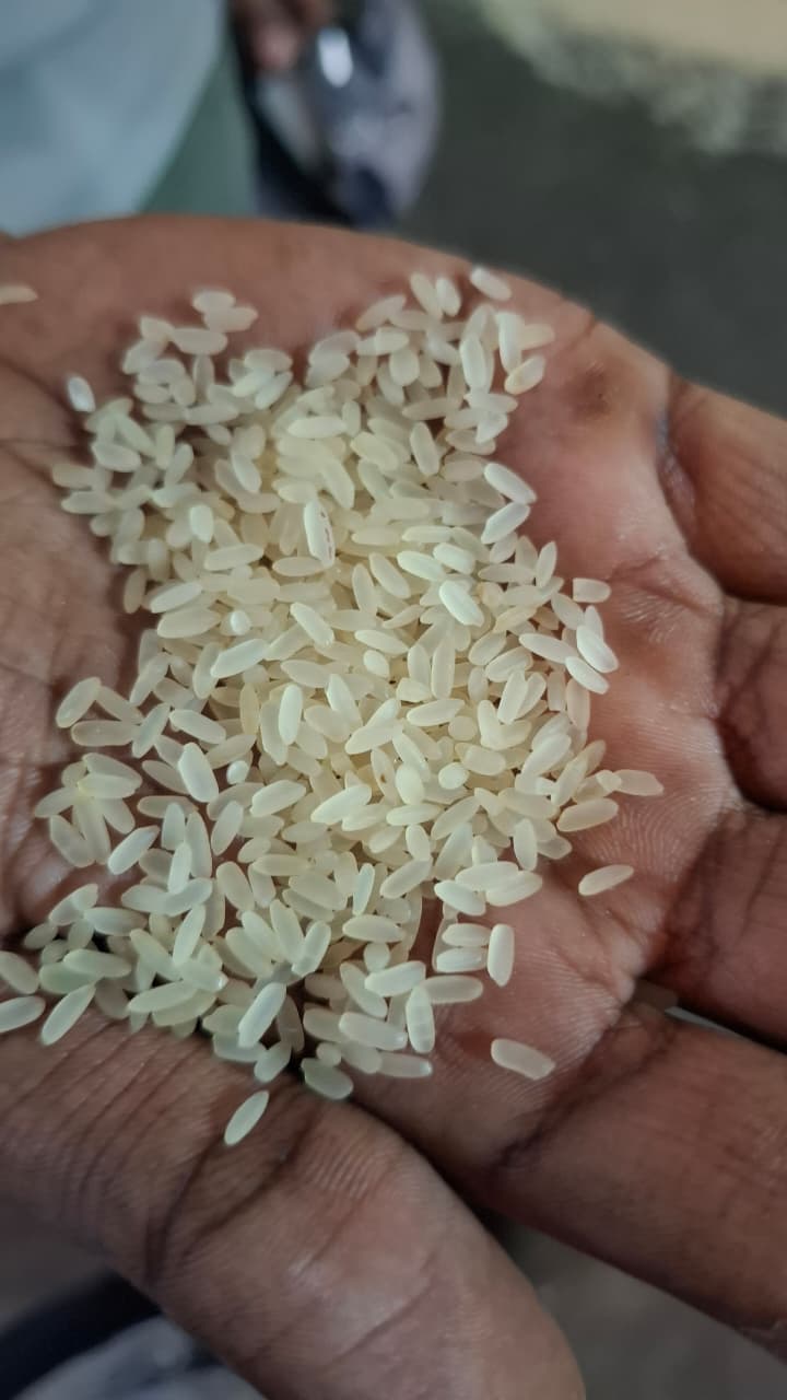 Swarna Parboiled Rice - Budha Global Exports